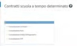 Passaggio 3: Scegli la consultazione, schermata del video ufficiale NoiPA